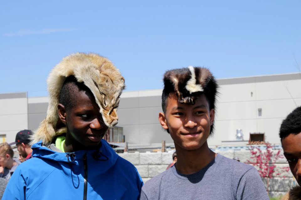 Learning About Animal Skins