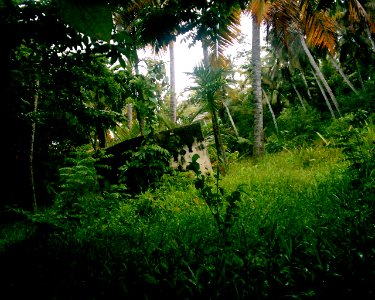 200709-060-vivitar3315