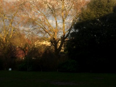 Mycenae House gardens