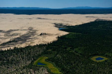 The Great Kobuk Sand Dunes photo