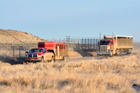 Onaqui Wild Horse Gather 02/20/12
