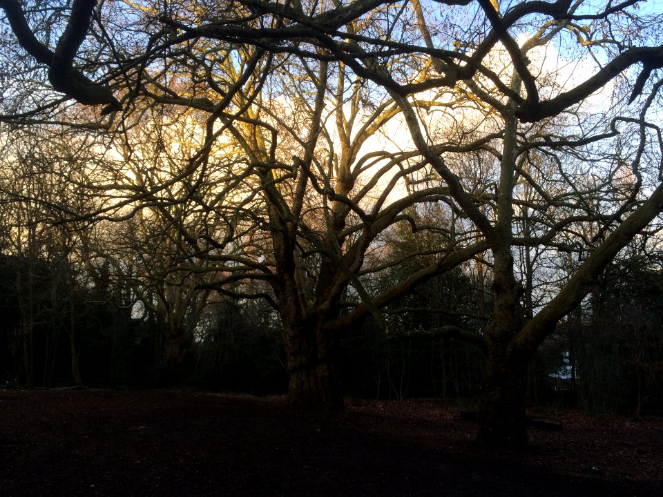 Mycenae House gardens