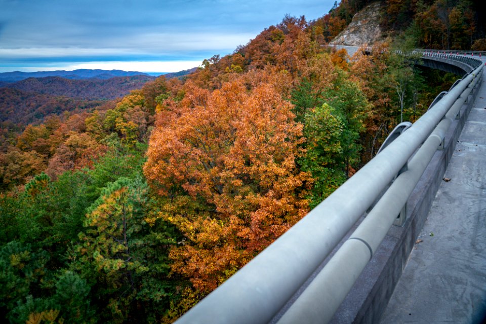 Foothills Parkway, November 2018--Joye Ardyn Durham