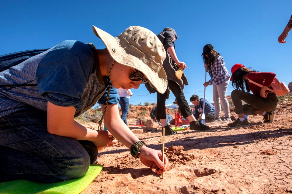 Cleaning theropod tracks at a tracksite near Moab, UT. Photo by Eric Delphenich