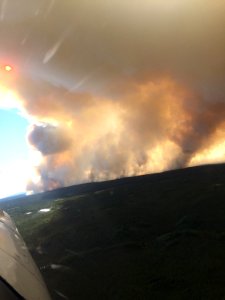 Salmon River Fire- Kobuk Valley National Park, 2015, Photo by BLM Alaska Fire Service