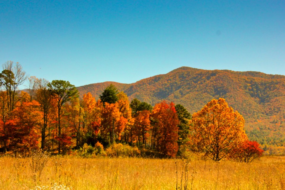 Cades Cove, October 2012--Warren Bielenberg