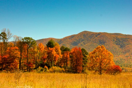 Cades Cove, October 2012--Warren Bielenberg