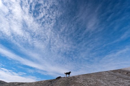Glacier hike in Wrangell-St. Elias