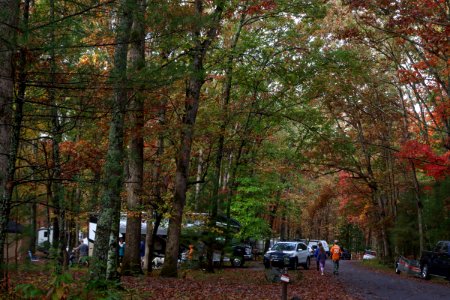 Cades Cove Campground, October 24, 2020 -- Warren Bielenberg (2)