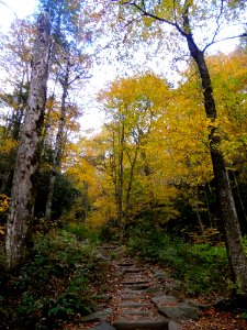 Chimney Tops Trail, October 2016--Andrea Walton