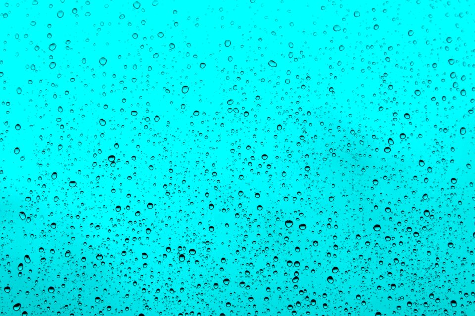 Drop of water water rain photo
