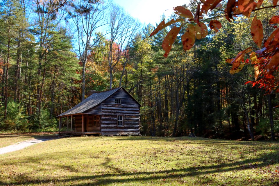 Cades Cove, October  20, 2020 -- Warren Bielenberg (2)