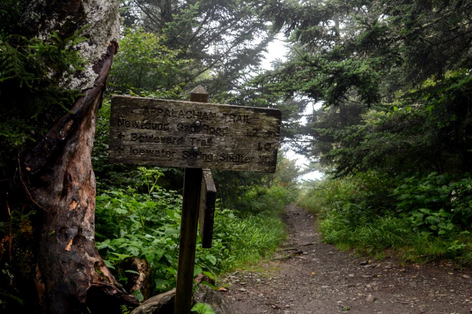 Appalachian Trail, summer 2018--Chalice Keith