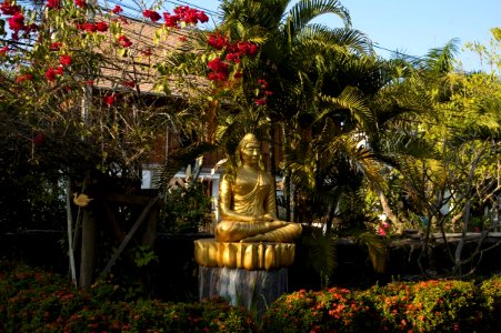 Temple garden, Luang Prabang photo