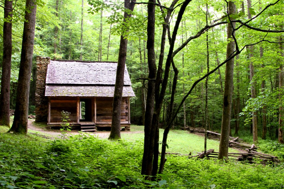 John Ownby Cabin, June 2013--Warren Bielenberg