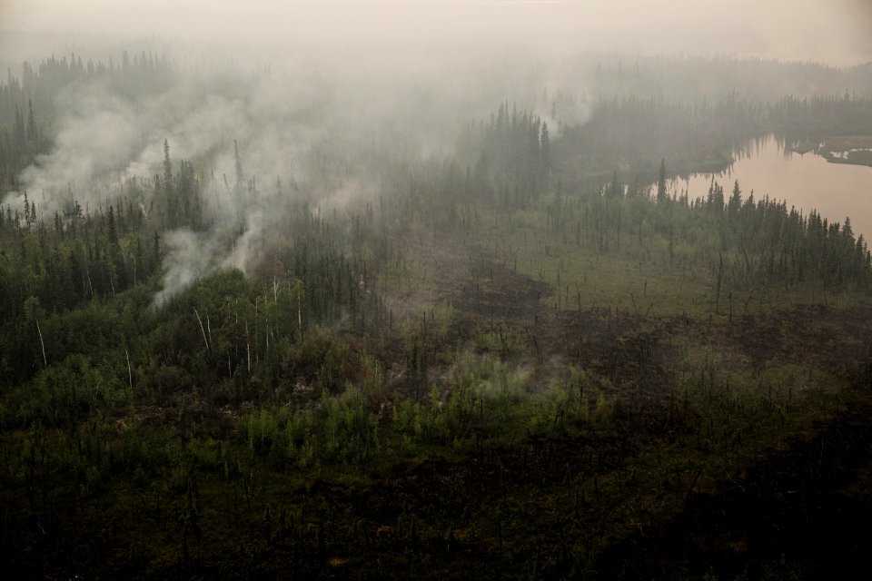 Sandless Lake Fire, Denali National Park, 2013, Photo by Yasunori Matsui