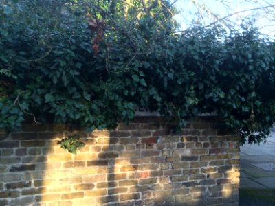 Mycenae House gardens