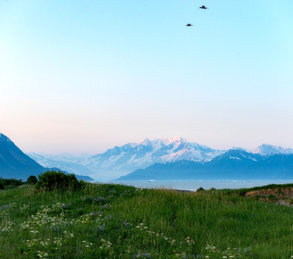 WRST Yakutat Marine Debris Cleanup 2015