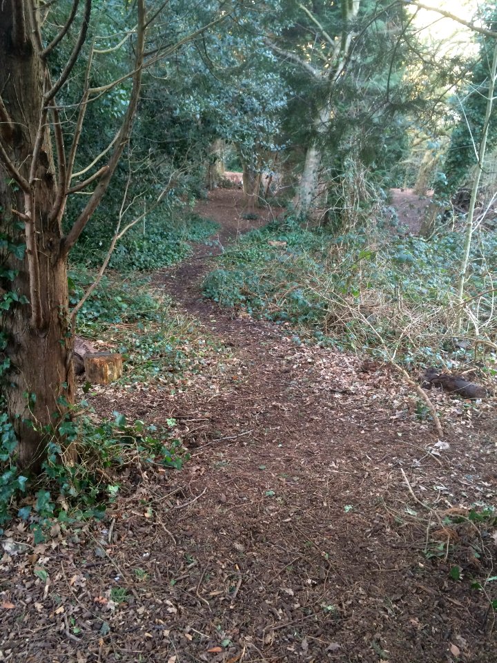 Mycenae House gardens