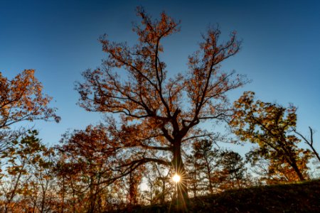 Foothills Parkway, November 2018--Joye Ardyn Durham