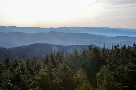View from Clingmans Dome, summer 2018--Chalice Keith
