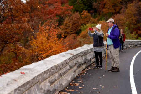 Foothills Parkway Community Day, November 8, 2018--Joye Ardyn Durham