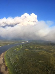 Salmon River Fire- Kobuk Valley National Park, 2015, Photo by BLM Alaska Fire Service