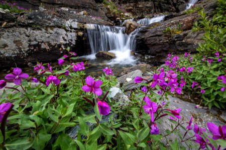 Waterfalls Along the Aqueduct (2)