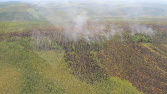 Glacier Creek Fire, 6/25/12 photo