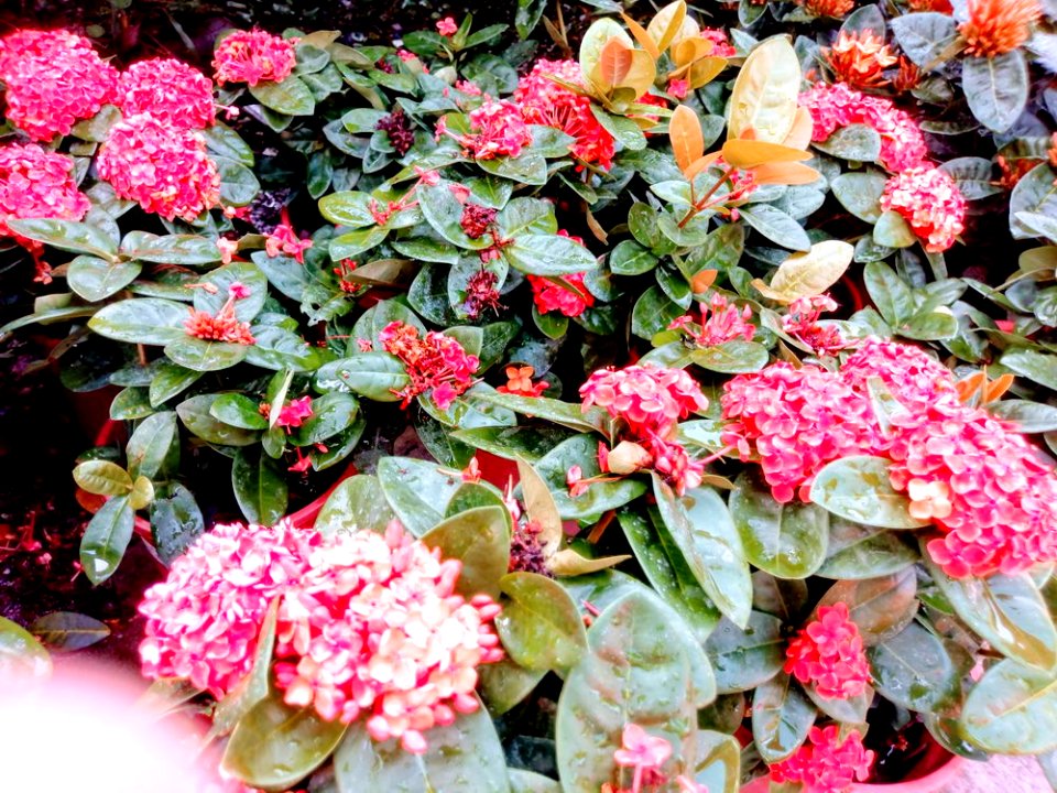 IMAG0025