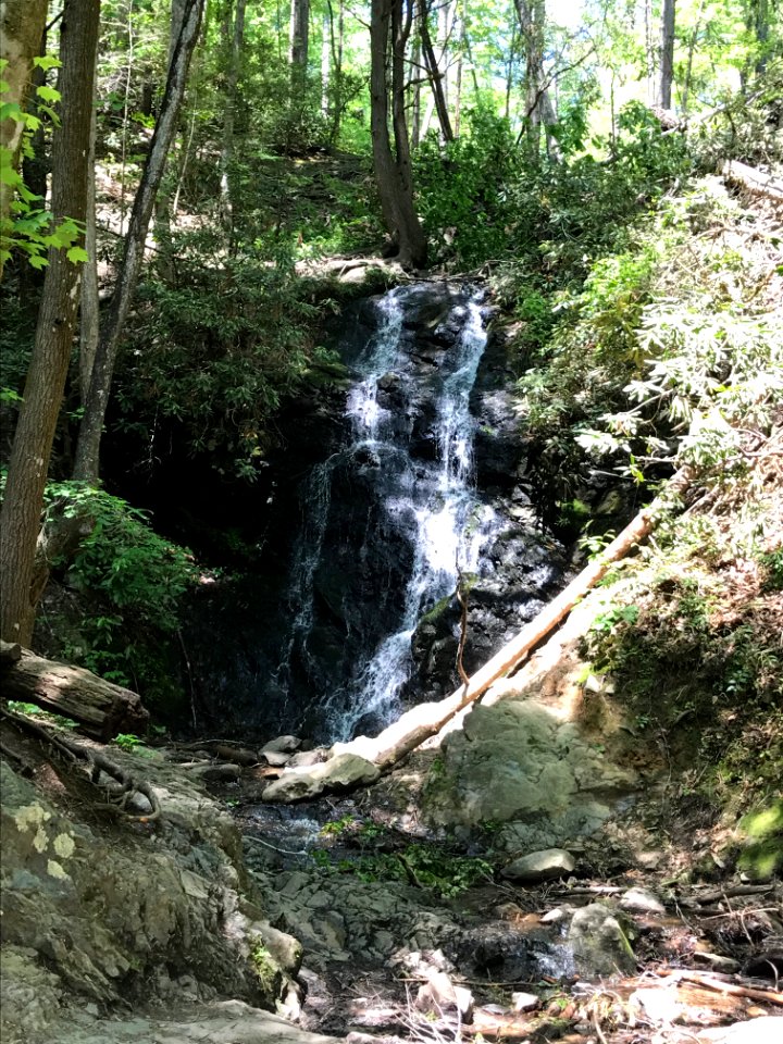 Cataract Falls, May 2017--Andrea Walton