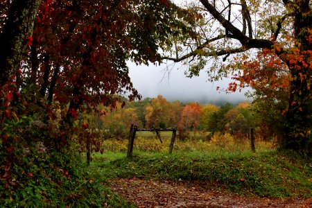 Sparks Lane, Warren Bielenberg, October 13, 2020