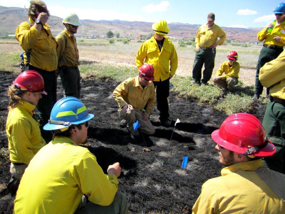 FI-210 Wildland Fire Origin & Cause Determination