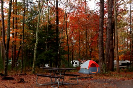 Cades Cove Campground, October 24, 2020 -- Warren Bielenberg (6) photo