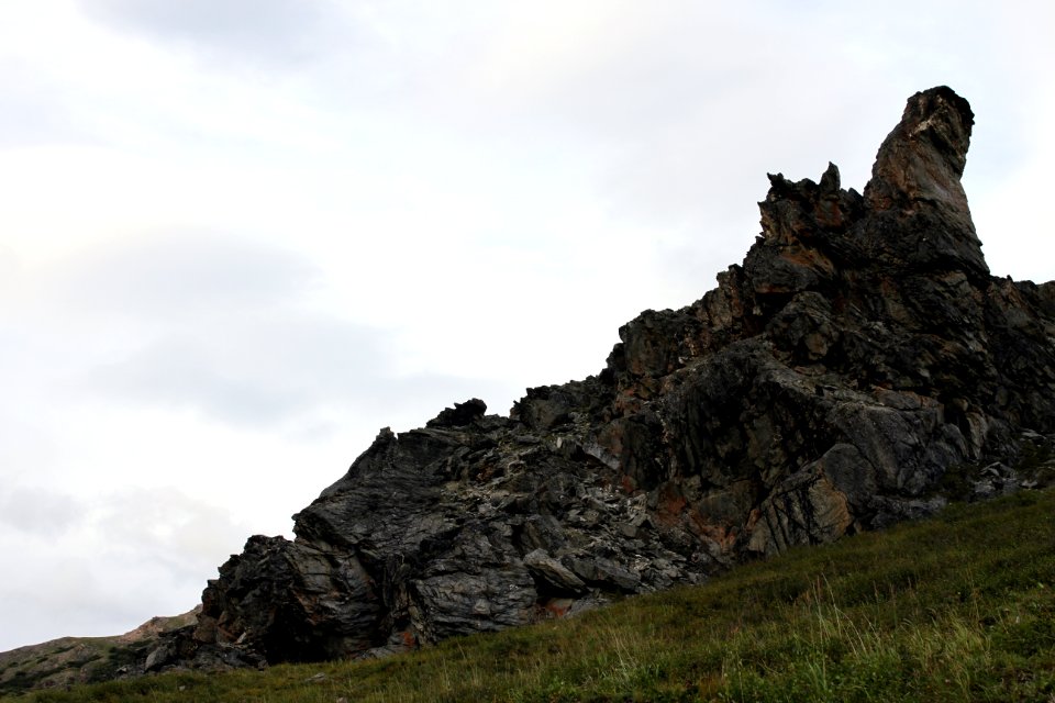 Denali National Park 21