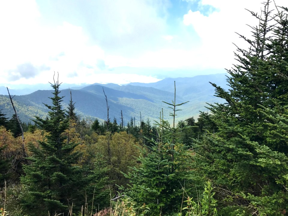 View from Clingmans Dome, September 2017--Andrea Walton