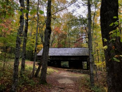 Messer Barn, Greenbrier, October 2017--Andrea Walton