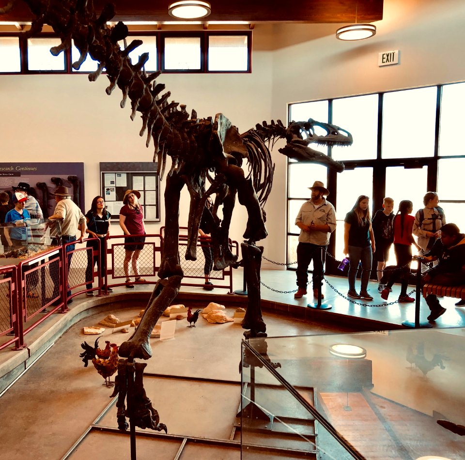 The Paleocampers visited Cleveland-Loyd Dinosaur Quarry in BLM Utah's new Jurassic Nat'l Monument. Photo by BLM-UT