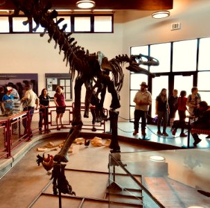 The Paleocampers visited Cleveland-Loyd Dinosaur Quarry in BLM Utah's new Jurassic Nat'l Monument. Photo by BLM-UT