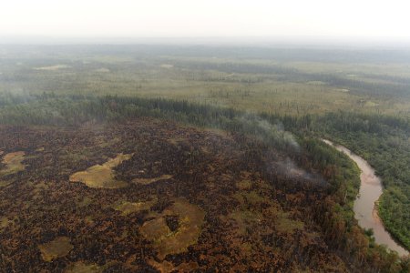 Moose Creek Fire, Denali National Park, 2015