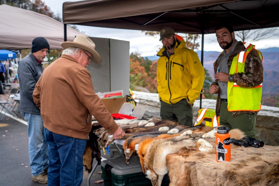 Foothills Parkway Community Day, November 8, 2018--Joye Ardyn Durham