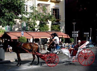 Horse-drawn carriage, Lisbon. photo
