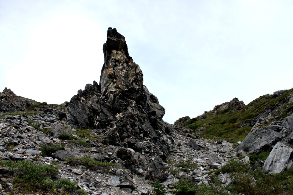 Denali National Park 23