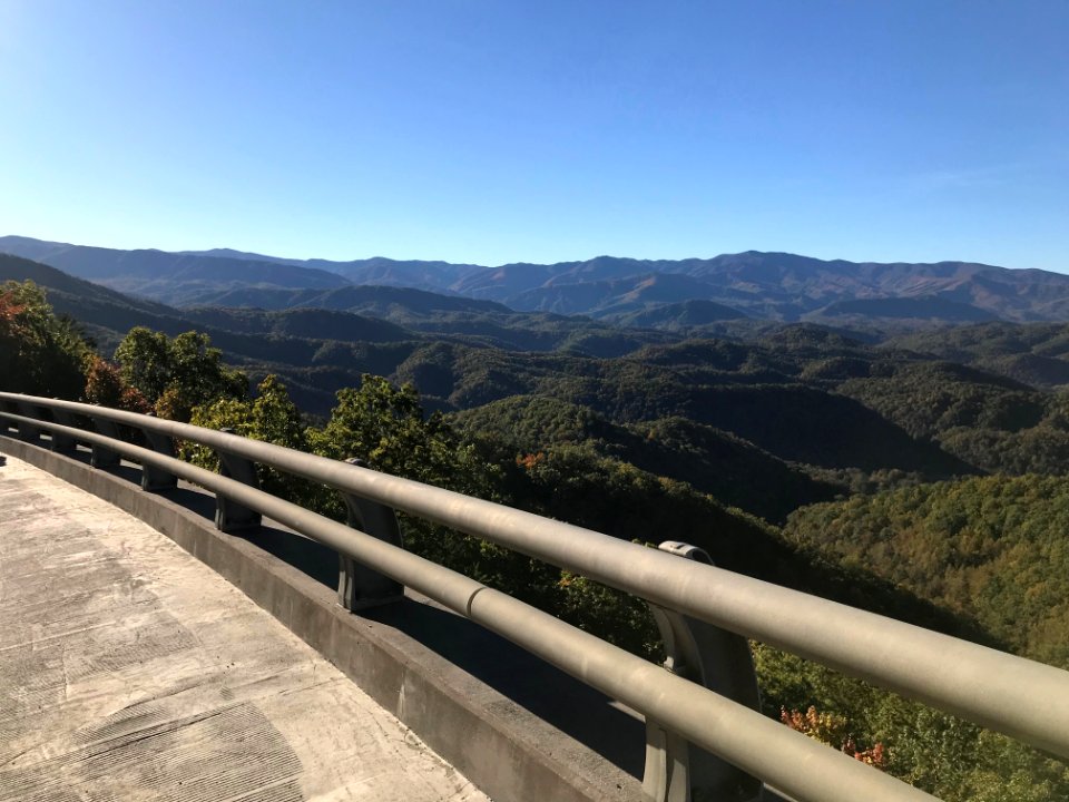 Foothills Parkway, November 2018--Andrea Walton