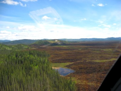 Chisana Fire, 6/5/13, NPS photo by James Sullivan
