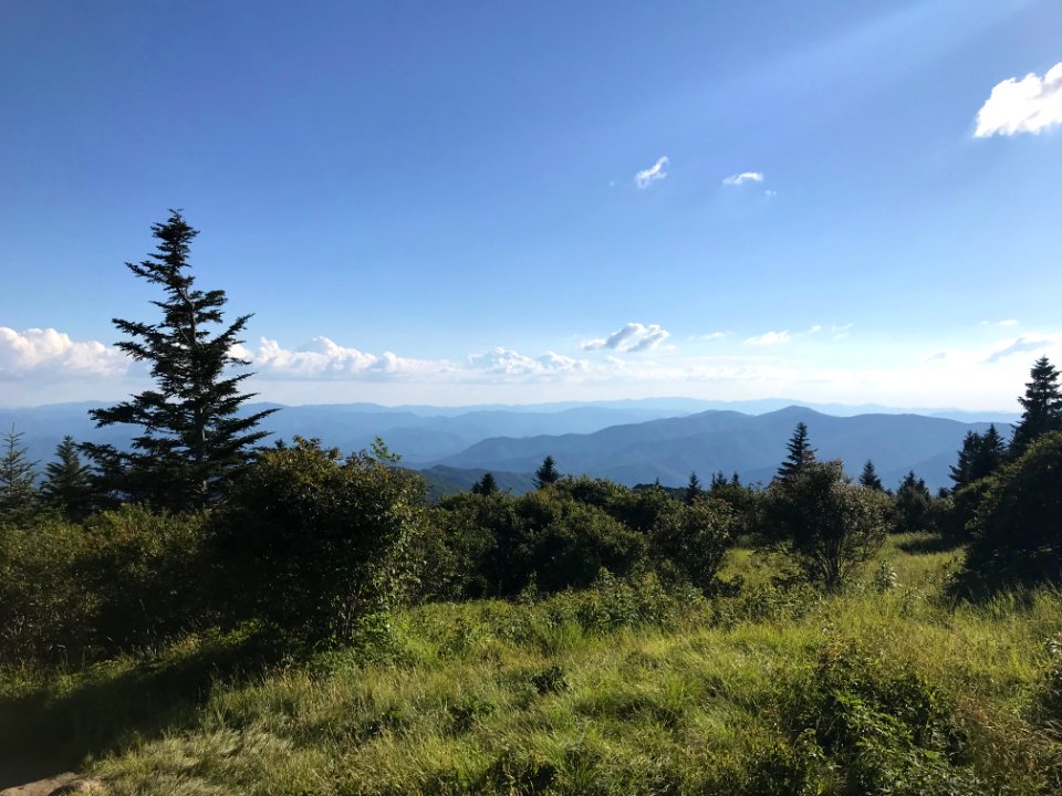 Andrews Bald, Forney Ridge Trail--Andrea Walton, July 2020