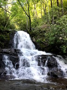 Laurel Falls, July 2017--Andrea Walton