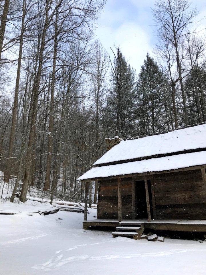 Snowy John Ownby Cabin, January 2018--Andrea Walton
