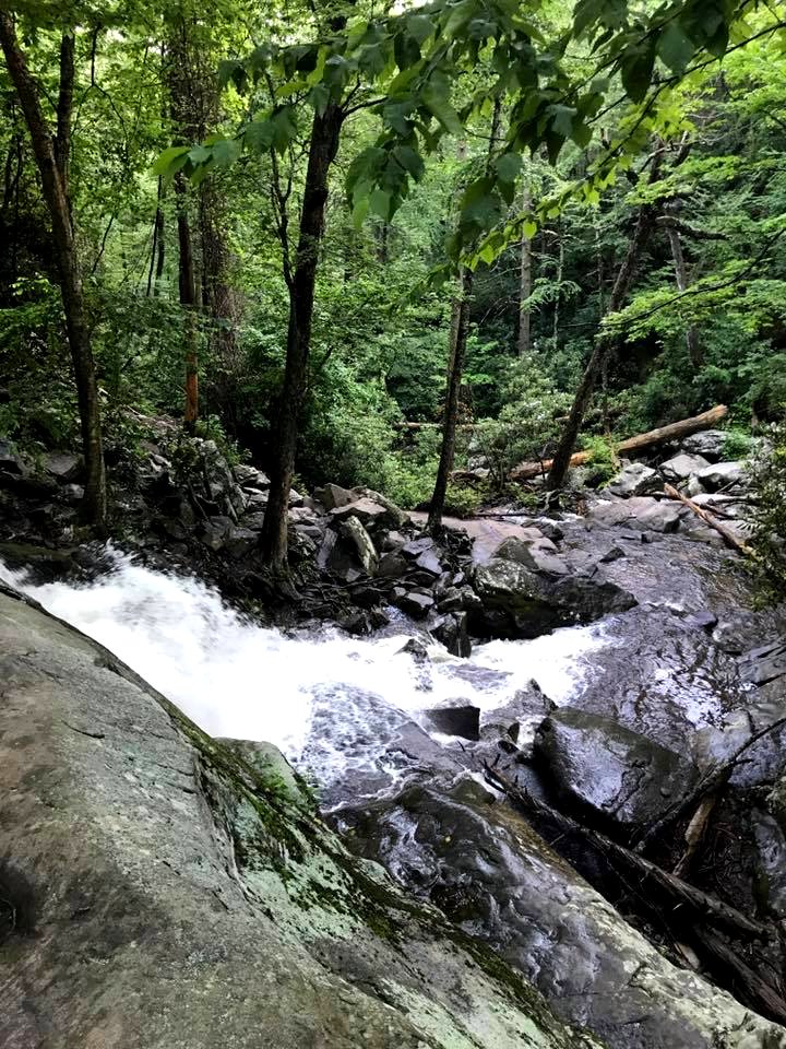 Lower Laurel Falls, July 2017--Andrea Walton