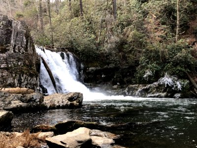 Abrams Falls, February 2018--Darlene Leach
